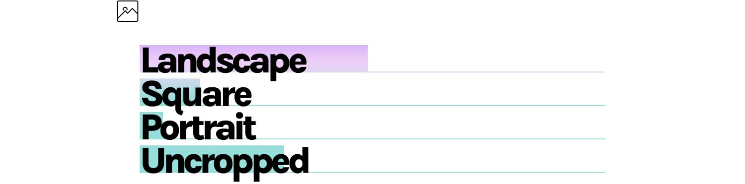 The Summary: How your sites look in 2024 - Fabrik