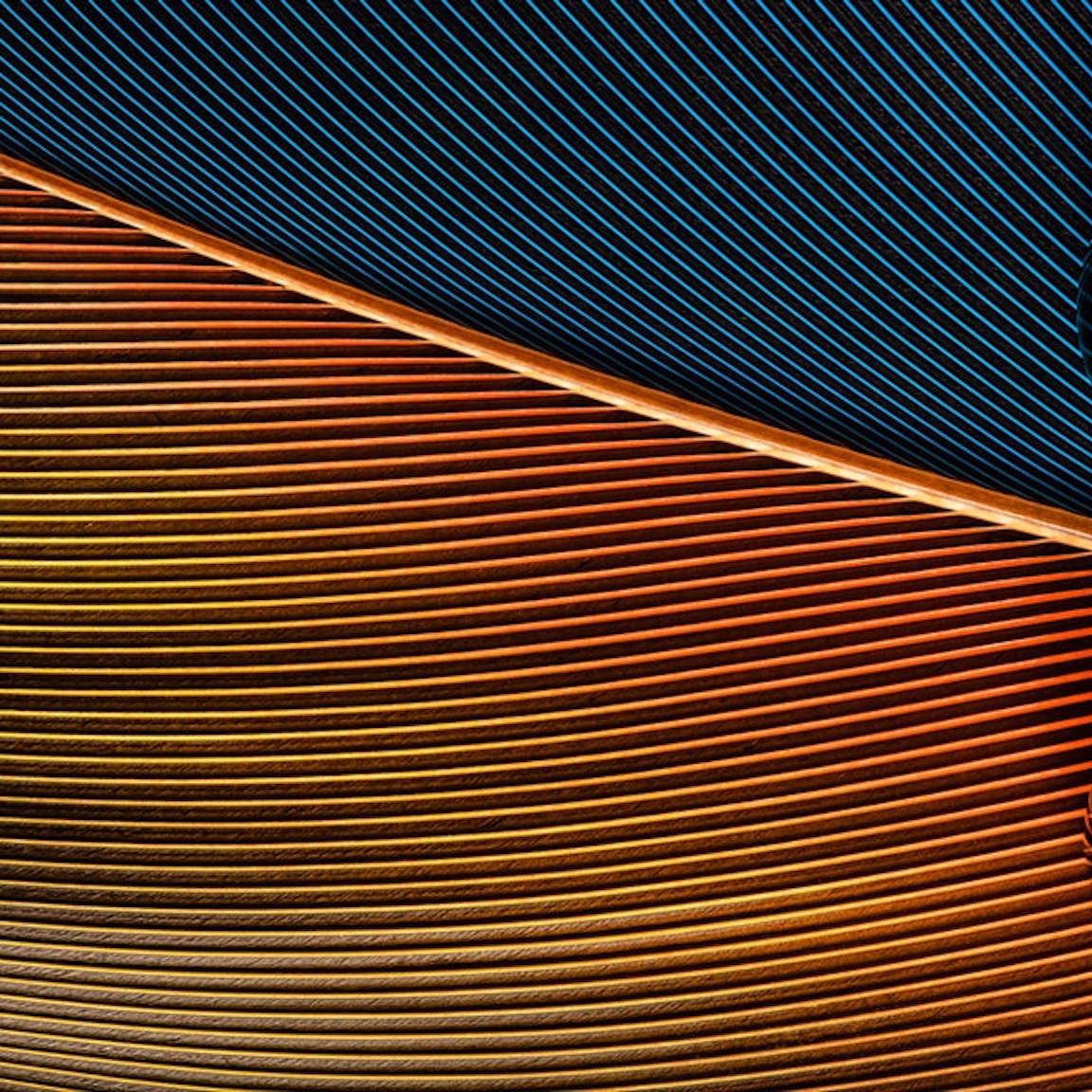 Bruno Militelli — Featured Image