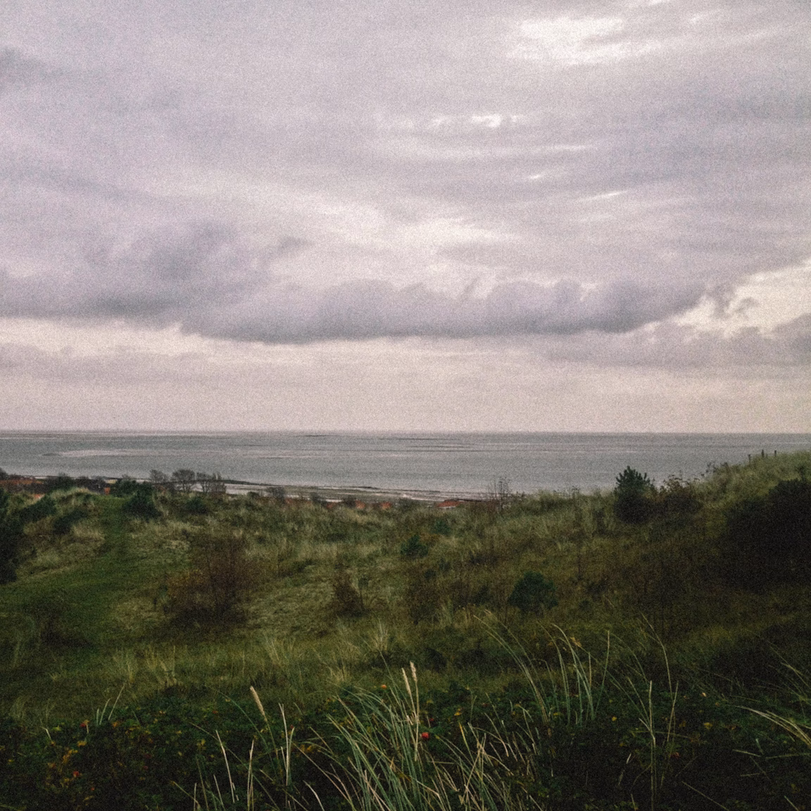 Evelin van Rei — Featured Image