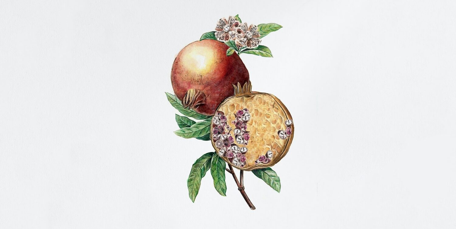 Ted Baker