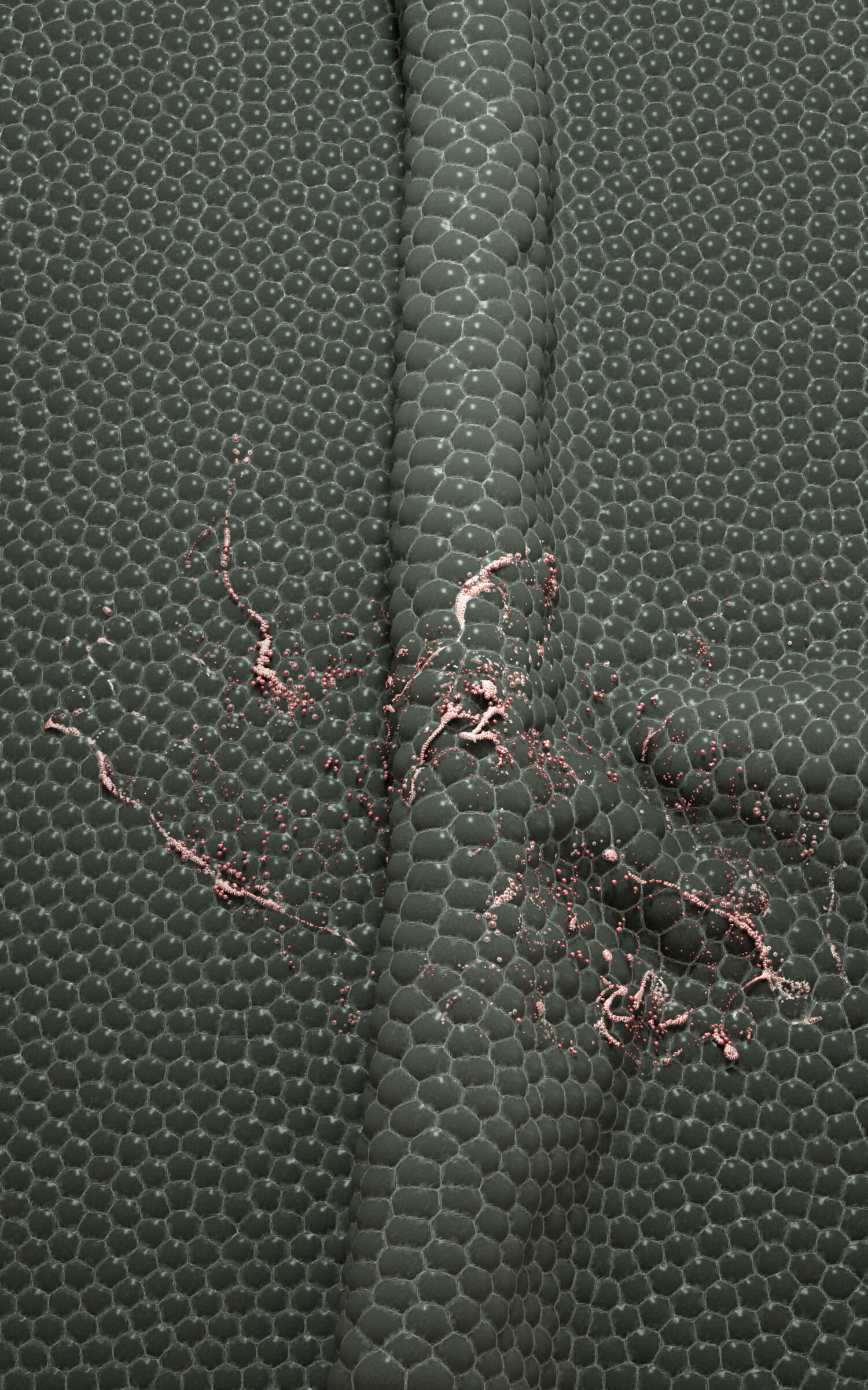 Structural randomities