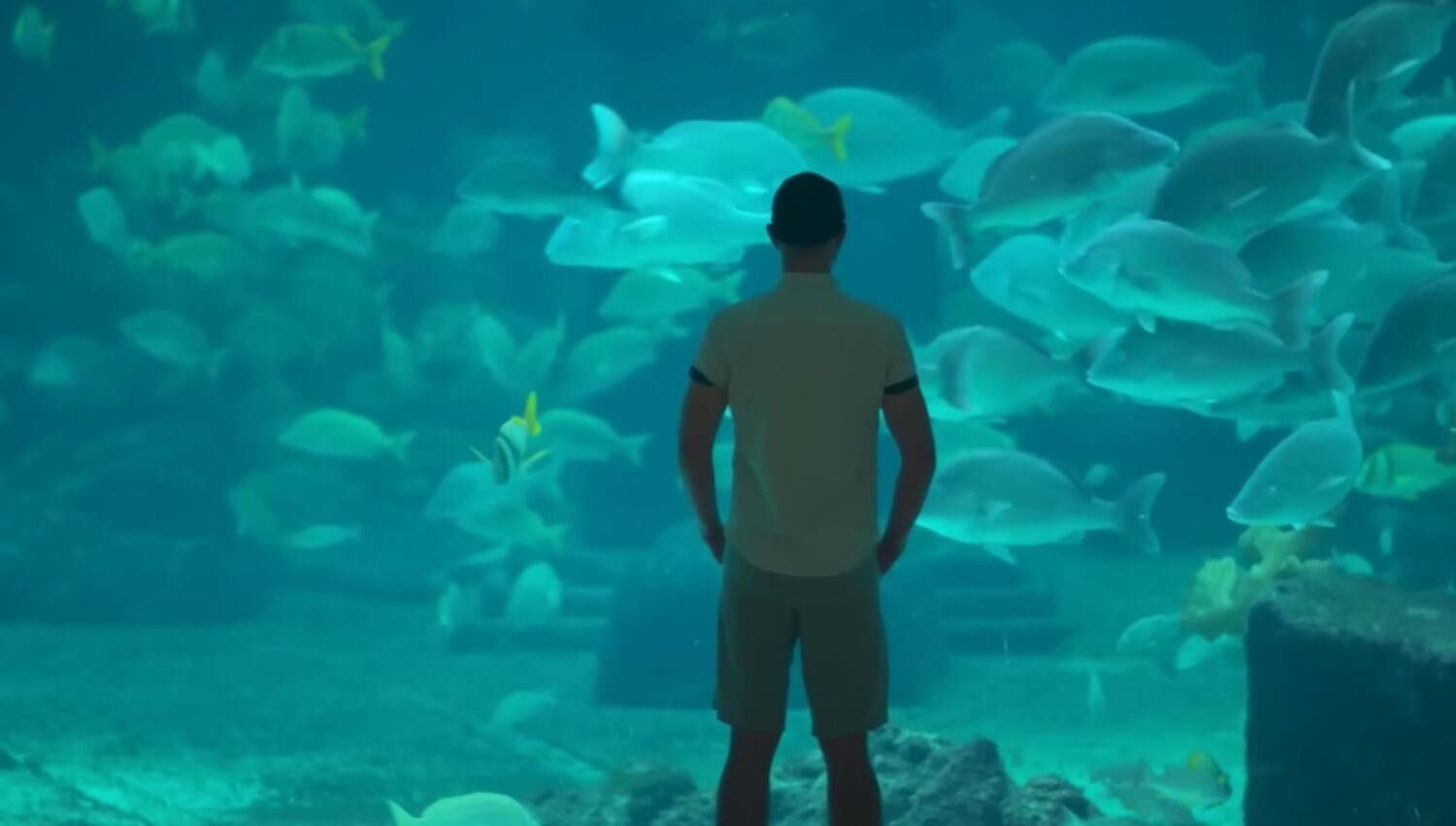 Merpeople